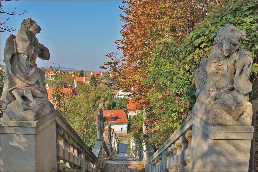 Karmelita Boutique Apartman Sopron Bagian luar foto